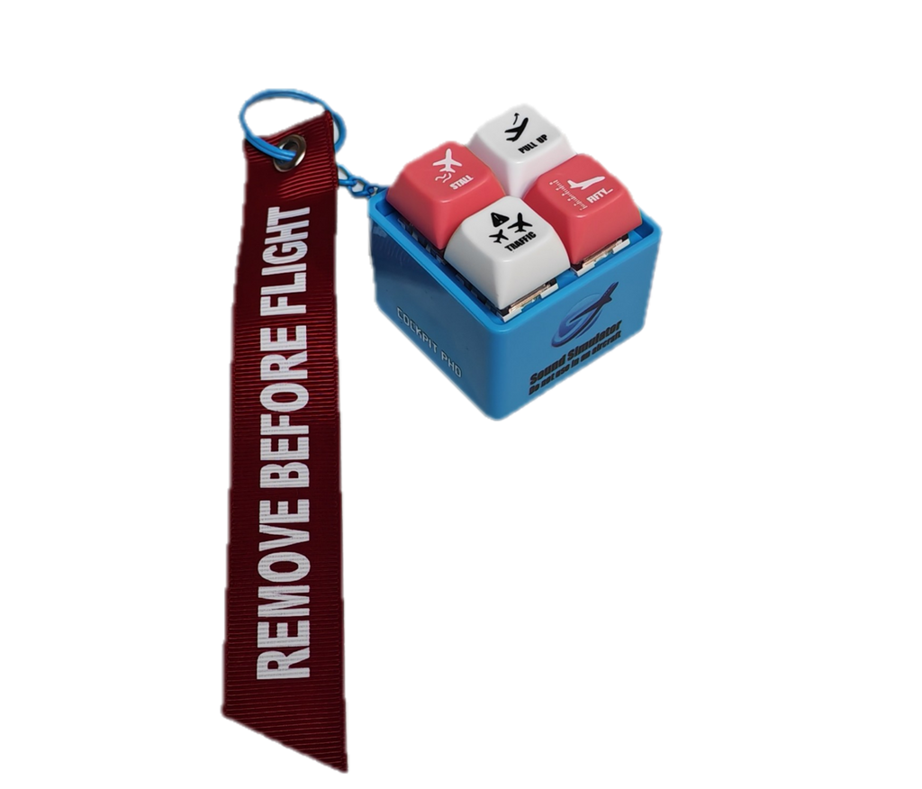 Aural Warning Simulator Keychain  | Blind Box